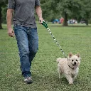 ChatGPT Image 19 ene 2026, 16_13_18.webp