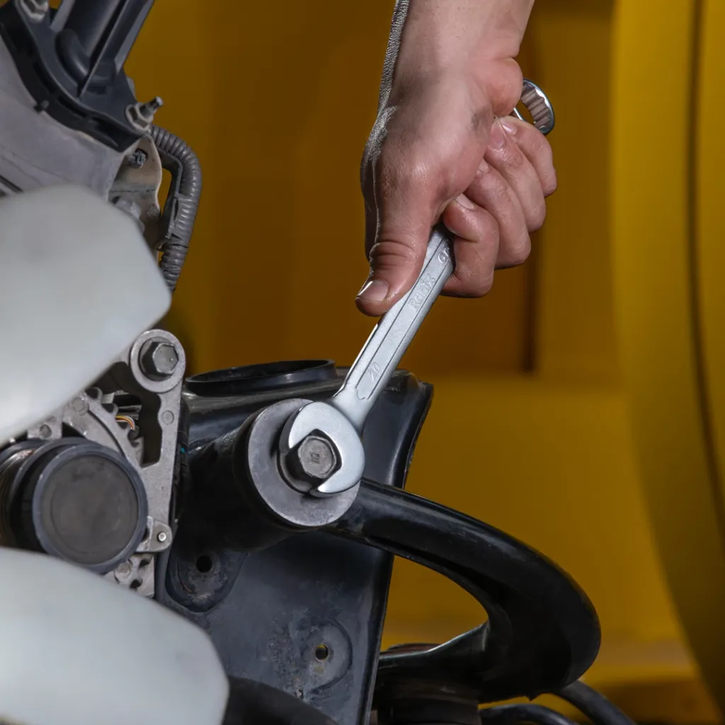 descargar imagens.webp