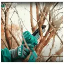 X_tgsli20581-15629.webp