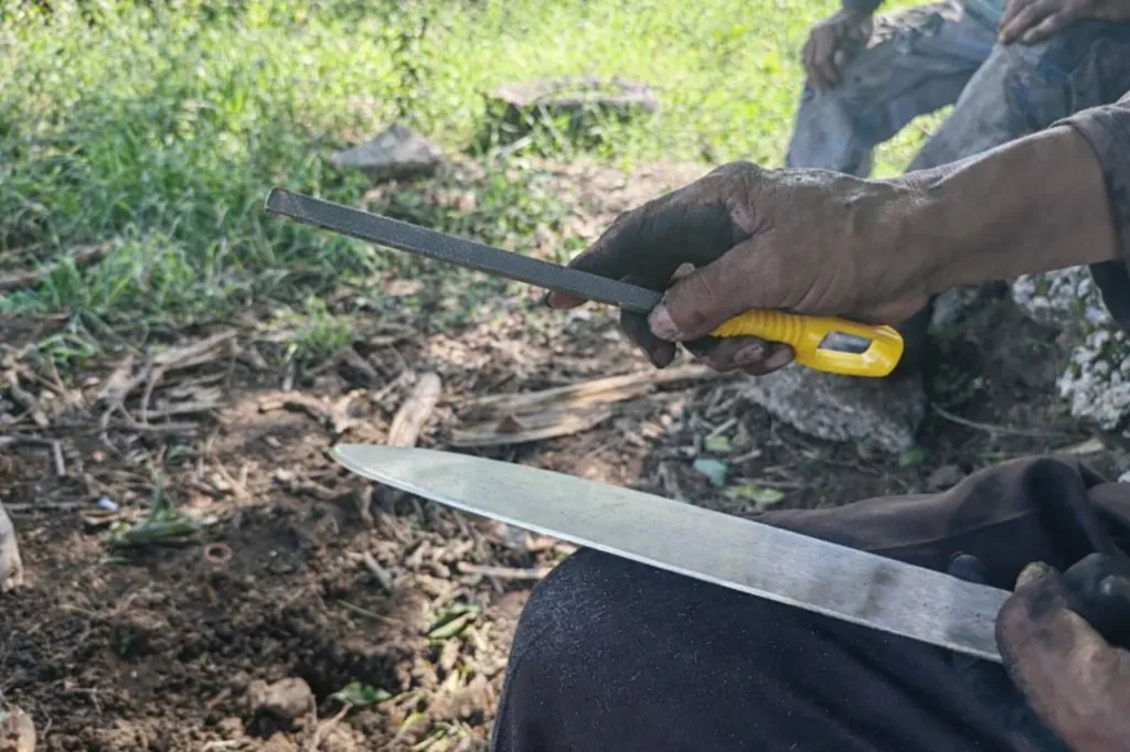 ChatGPT Image 15 ene 2026, 08_58_24.webp