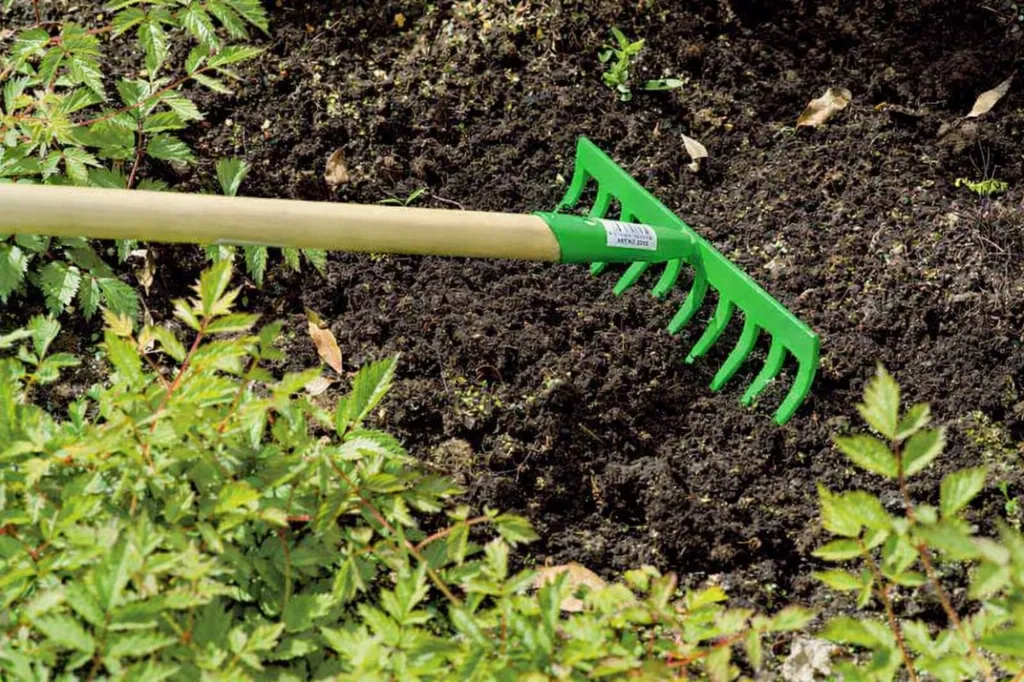 ChatGPT Image 19 ene 2026, 10_17_50.webp