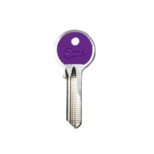 DUPLICADO DE LLAVE CABEZA PLÁSTICA 1000 YES
